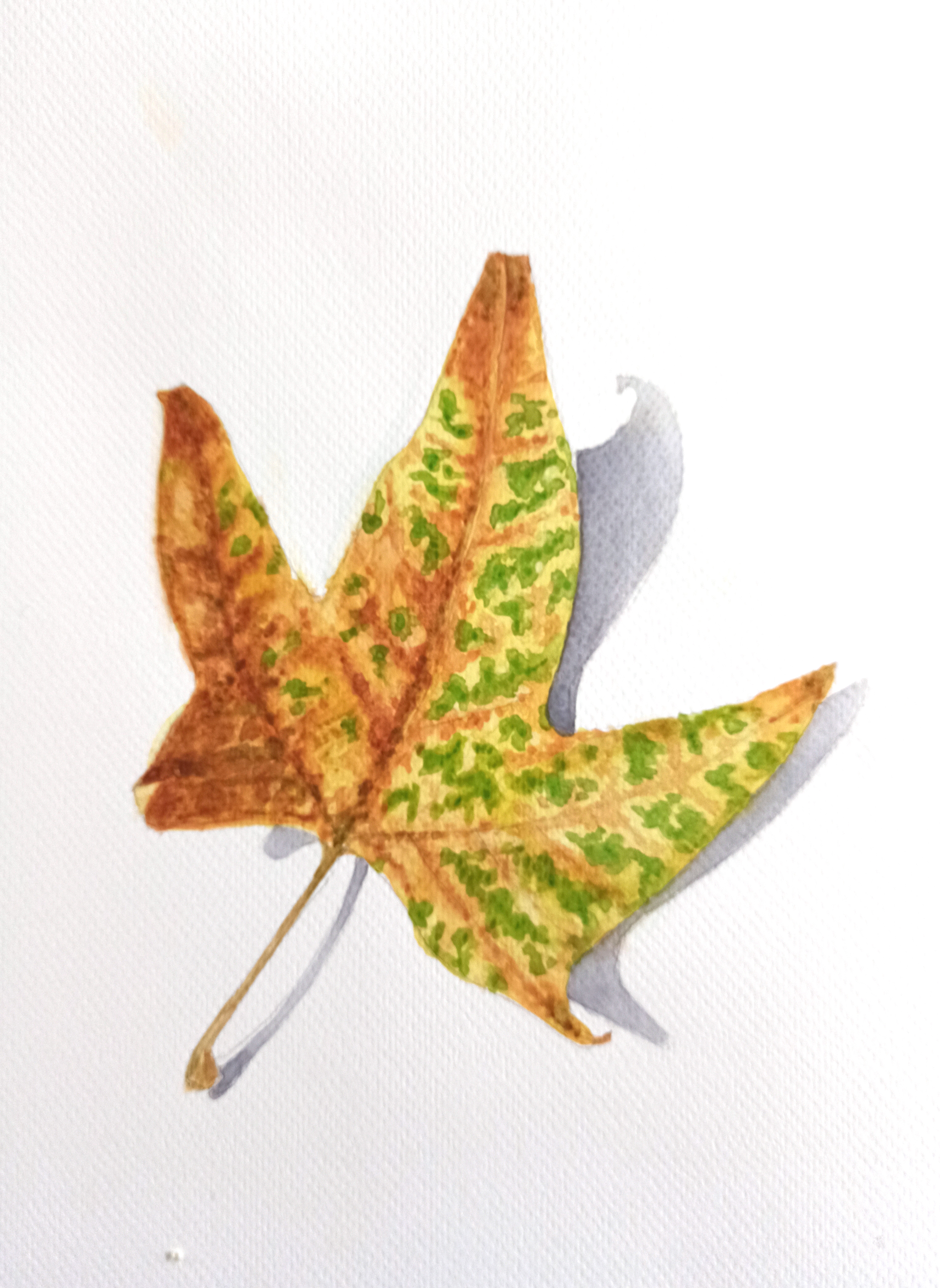 Foglia autunnale